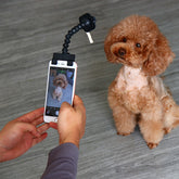 e2d604a01674a2e3738bd0cfe3f96453