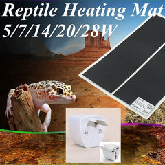 c88c2a07cfd4e45ffa1b5e54bb308ccf