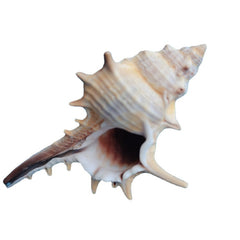 af03aa52b5951945c9ae0b2179f0c076