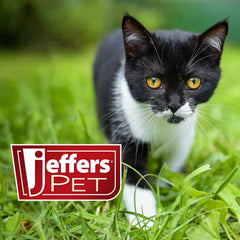 Jeffers Pet Nail File for Dog and Cat Nail Grooming, 7"L