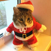 Christmas Cat Costume | Santa Claus Outfit for Small Cats & Dogs | Holiday Pet Clothes Xmas & New Year Kitty Outfit