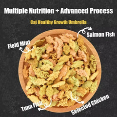 Crispy Cat Biscuits | Salmon, Chicken & Tuna Snacks | Nutritious Catnip & Fish Treats | Healthy & Easy-to-Eat Cat Snacks