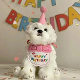 Cute Puppy & Kitten Birthday Hat & Scarf | Dog & Cat Party Outfit | Pet Birthday Accessories