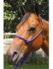 Jeffers Easy-On Clip Nylon Rope Horse Halter with Lead