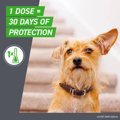 FRONTLINE Plus for Medium Dogs (23-44 lbs) – Flea & Tick Treatment, 3-Month Supply