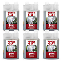 Jeffers Healthy Gut Gastric Support Liquid Supplement for Horses
