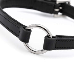 Jeffers Padded Black Leather Dog Collars with O-Ring and Nickel Hardware