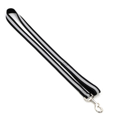 Jeffers Reflective Glow-in-the-Dark Safety Stripe Nylon Dog Leash, 1" W x 4' L
