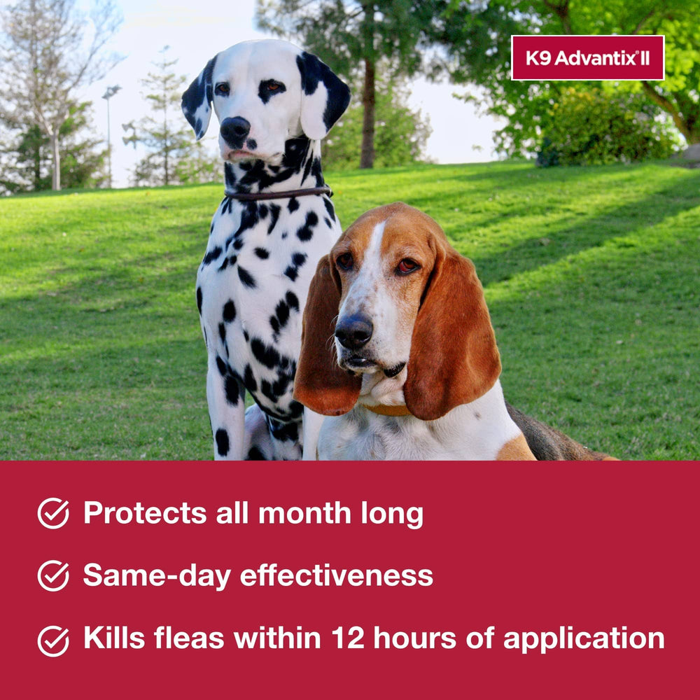 K9 Advantix II Small Dog – Vet-Recommended Flea, Tick & Mosquito Treatment for Dogs 4-10 lbs, 4-Month Supply