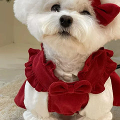 Princess Bow Dress Set - Winter Corduroy Dog Dress with Bow Clip