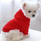 Solid Color Pet Hoodie - Two-Legged Winter Sweatshirt for Cats & Puppies