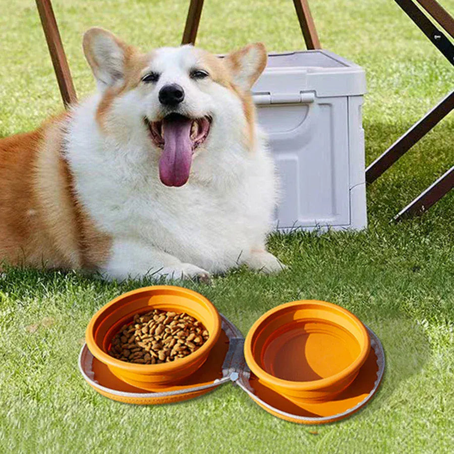 2-in-1 Foldable Pet Food Bowl - Portable Silicone Travel Dog & Cat Bowl