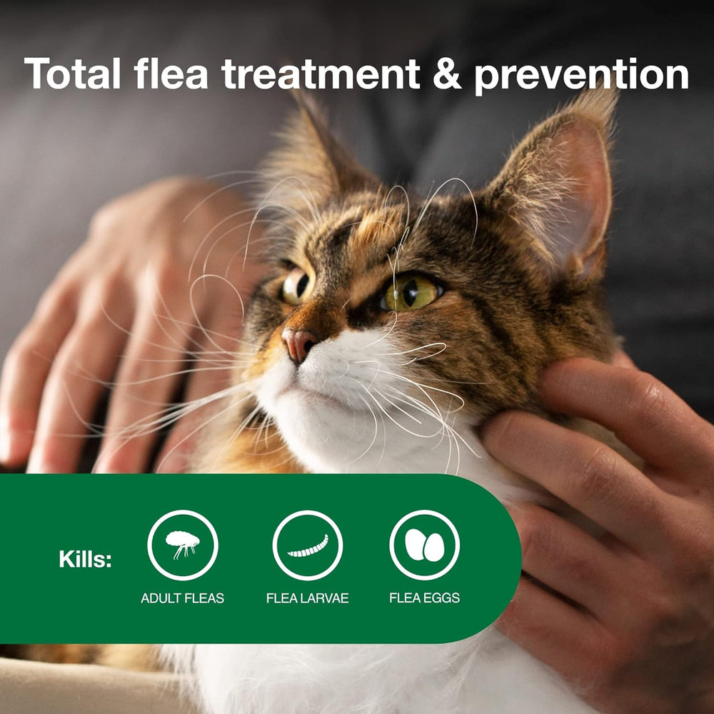 Advantage II Flea Treatment for Cats | Fast-Acting Flea Protection | Large Cats Over 9 lbs | 6 Month Supply