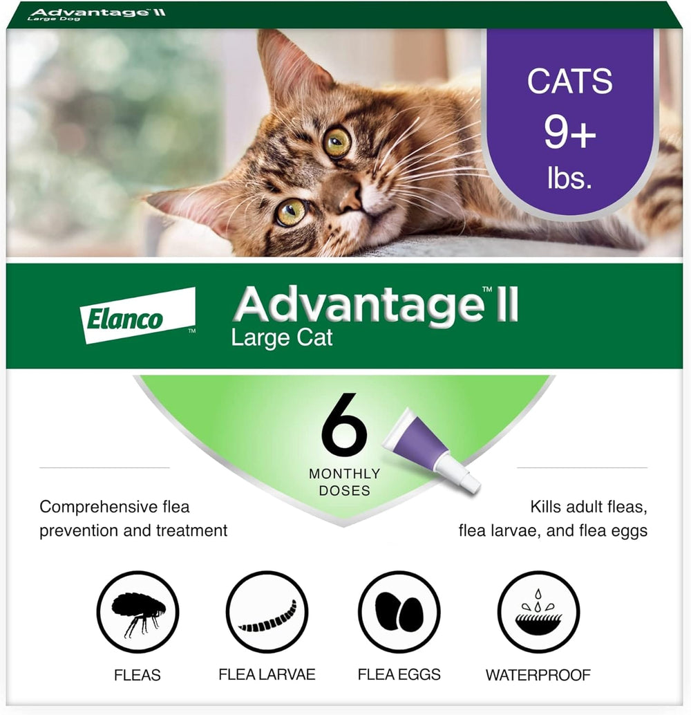 Advantage II Flea Treatment for Cats | Fast-Acting Flea Protection | Large Cats Over 9 lbs | 6 Month Supply