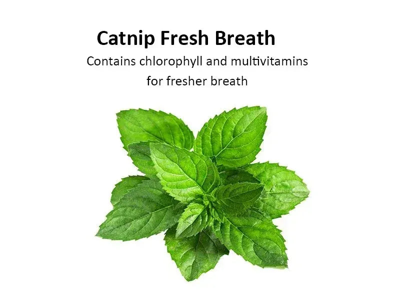 Crispy Cat Biscuits | Salmon, Chicken & Tuna Snacks | Nutritious Catnip & Fish Treats | Healthy & Easy-to-Eat Cat Snacks