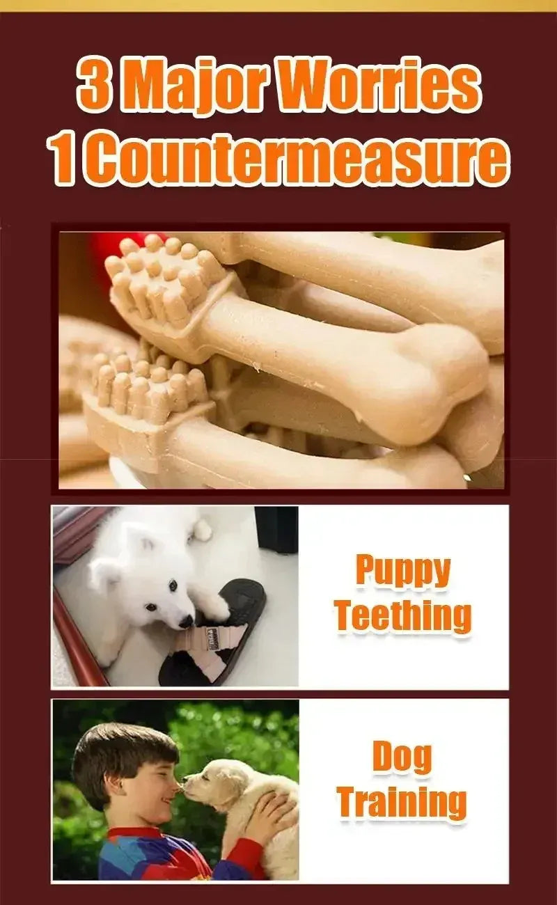 Dog Bruxism Toothbrush Bone Treats | Healthy Dental Chews for Puppies & Adult Dogs | Natural Nutrition & Training Rewards
