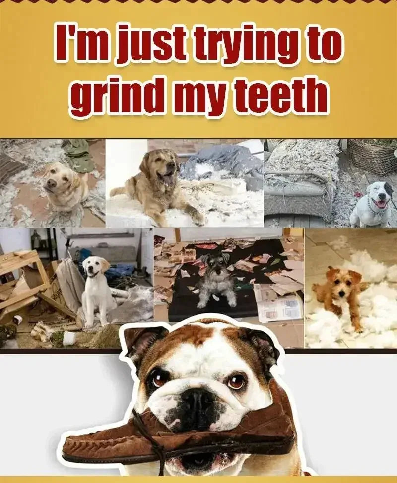 Dog Bruxism Toothbrush Bone Treats | Healthy Dental Chews for Puppies & Adult Dogs | Natural Nutrition & Training Rewards