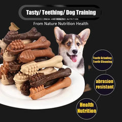 Dog Bruxism Toothbrush Bone Treats | Healthy Dental Chews for Puppies & Adult Dogs | Natural Nutrition & Training Rewards