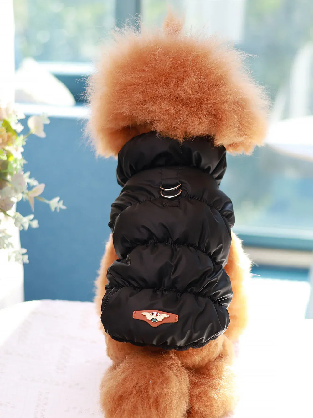 Dog Jacket for Autumn & Winter | 3-Layer Thick Warm Coat for Small & Medium Dogs – Poodle, Teddy, Yorkie Outerwear