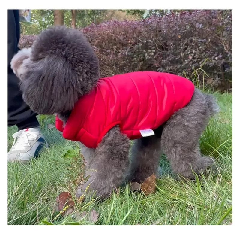 Double-Sided Dog Coat | Winter Warm Pet Vest for Small & Medium Dogs – Soft Puppy Clothes & Chihuahua Outfit