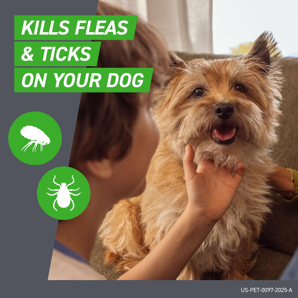 FRONTLINE Plus for Medium Dogs (23-44 lbs) – Flea & Tick Treatment, 3-Month Supply