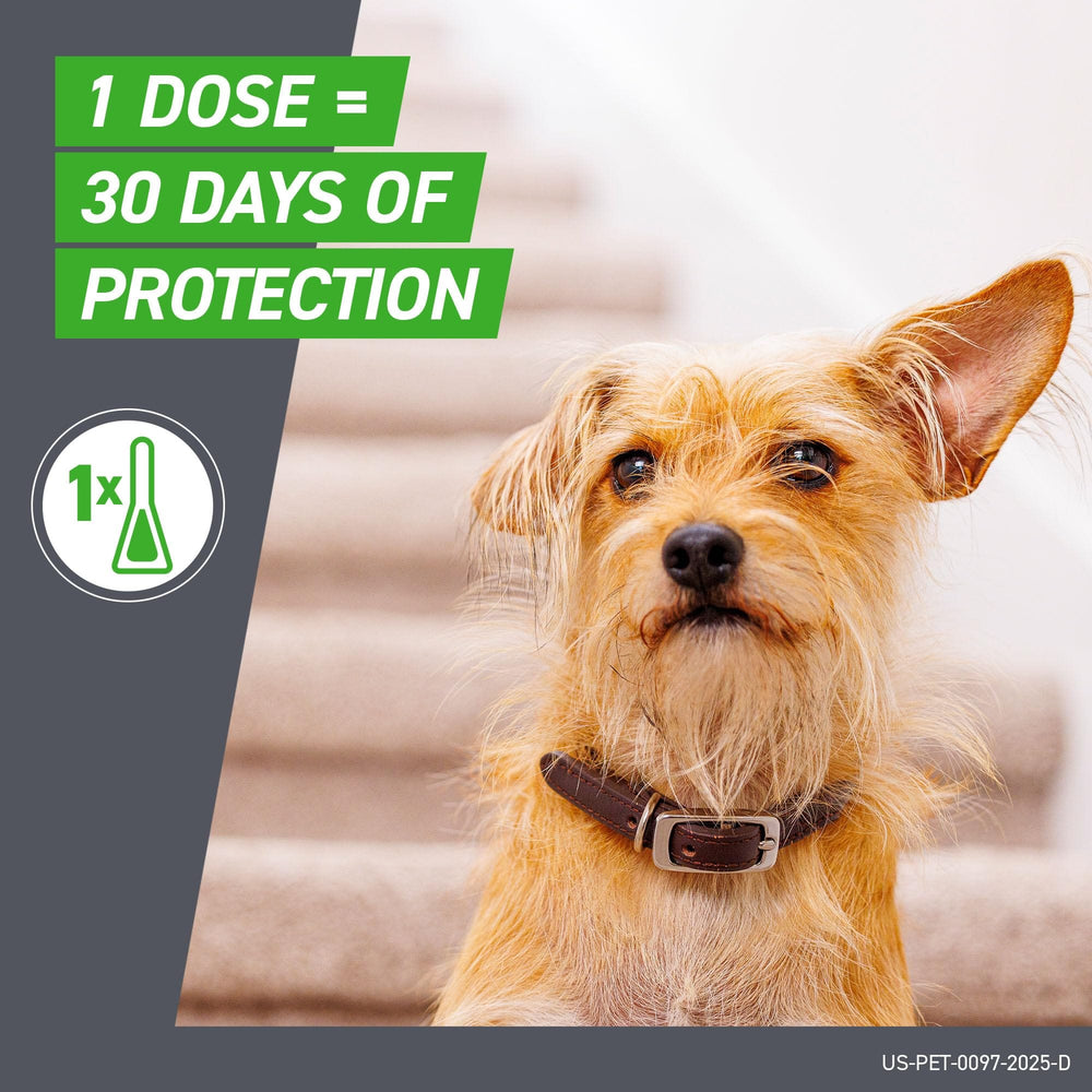 FRONTLINE Plus for Medium Dogs (23-44 lbs) – Flea & Tick Treatment, 3-Month Supply