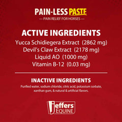 Jeffers Pain-Less Pain Relief Paste for Horses