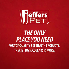 Jeffers Christmas Character Plush Orbs Squeaker Dog Toy