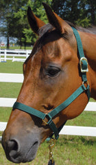 Jeffers Turnout Nylon Horse Halters, 2-Ply, 1"