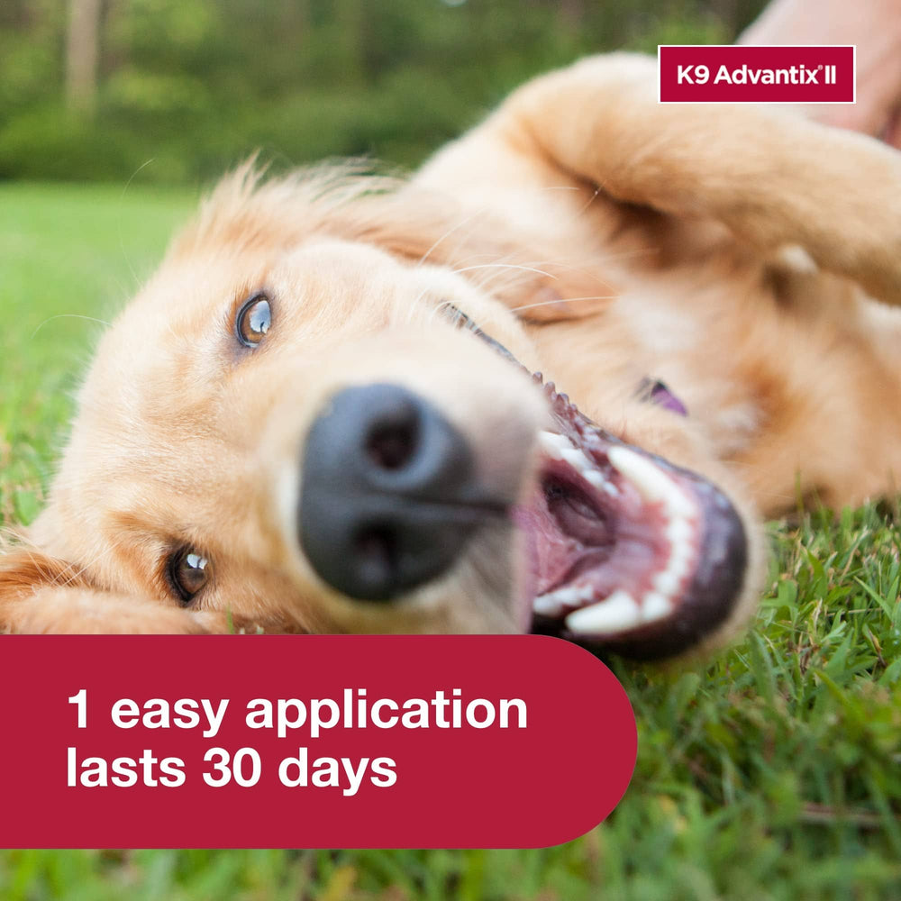 K9 Advantix II Large Dog – Vet-Recommended Flea, Tick & Mosquito Treatment for Dogs 21-55 lbs, 4-Month Supply