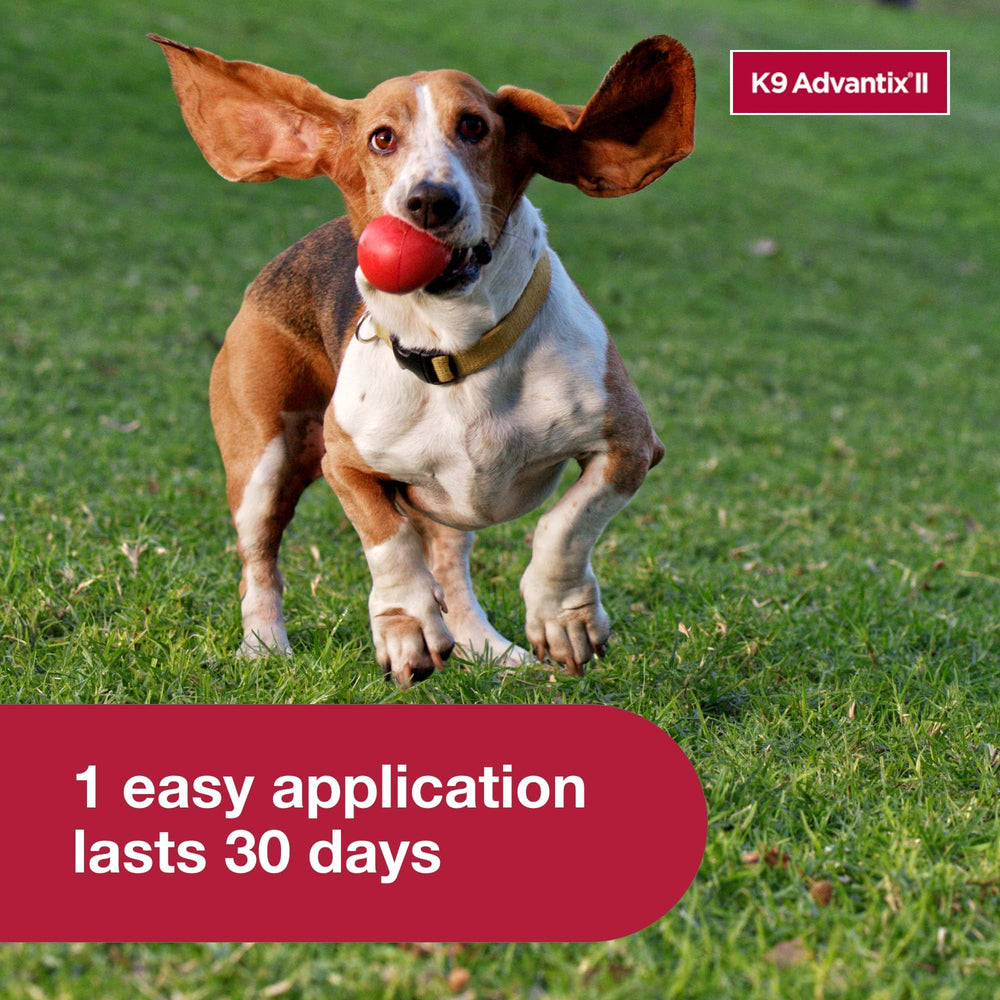 K9 Advantix II Small Dog – Vet-Recommended Flea, Tick & Mosquito Treatment for Dogs 4-10 lbs, 4-Month Supply