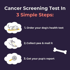 Oncotect Essential At-Home Dog Cancer Screening Test Kit