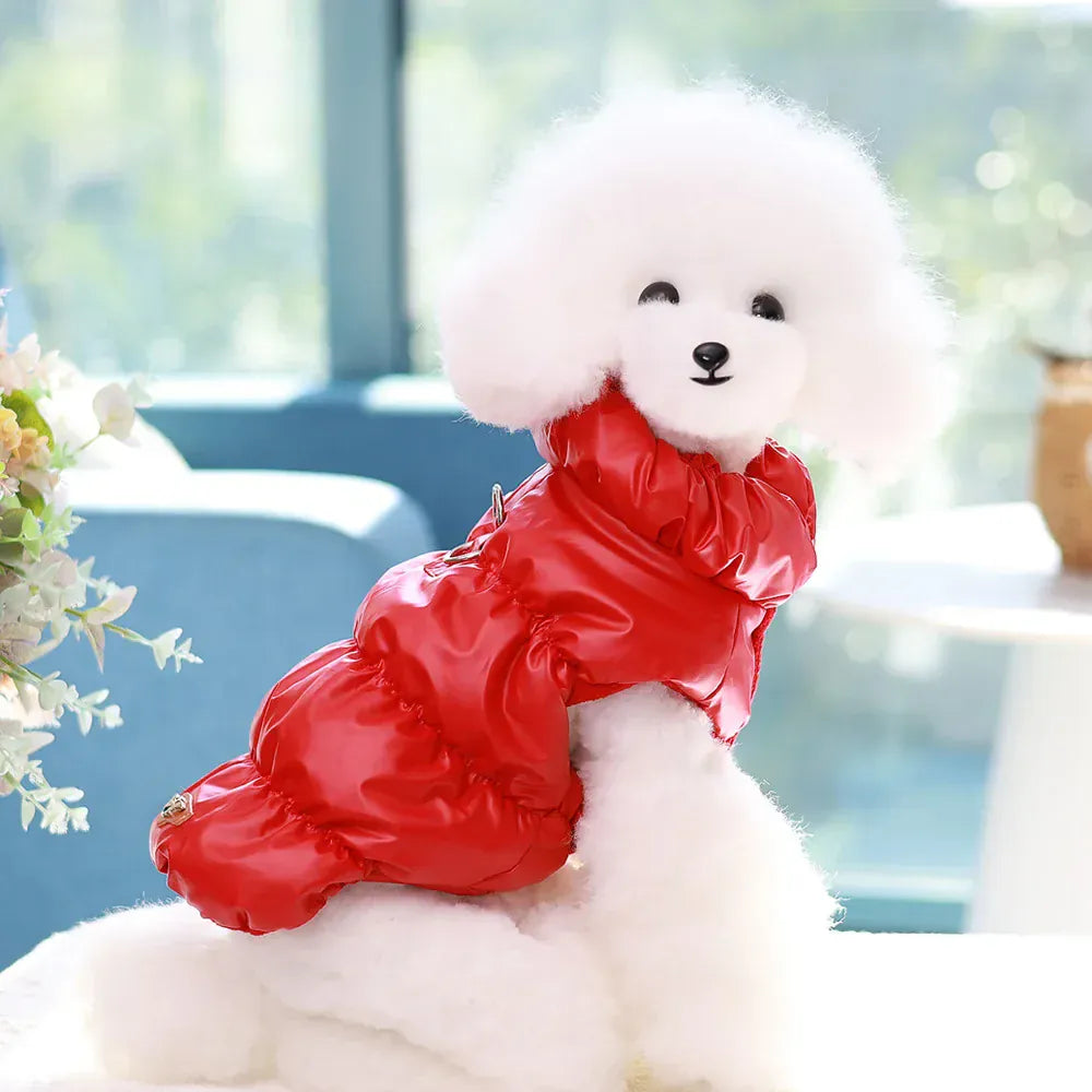 Padded Winter Dog Coat - Soft Warm Jacket for Small Breeds
