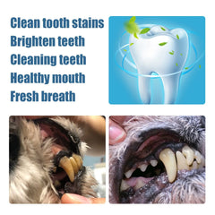 Pet Teeth Cleaning Pen | Dog & Cat Toothbrush & Toothpaste All-in-One | Fresh Breath & Tartar Removal