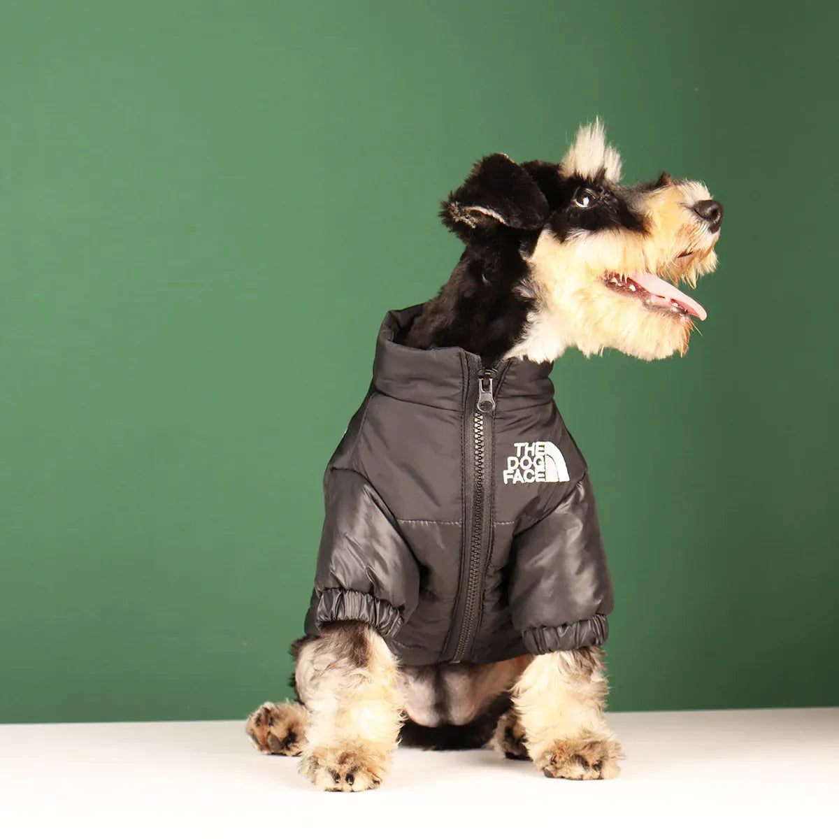 Reflective Winter Dog Jacket | Windproof Warm Coat for French Bulldogs, Chihuahuas & Medium Dogs | Waterproof Pet Outfits