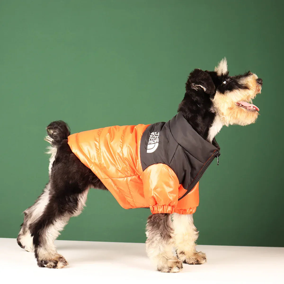 Reflective Winter Dog Jacket | Windproof Warm Coat for French Bulldogs, Chihuahuas & Medium Dogs | Waterproof Pet Outfits