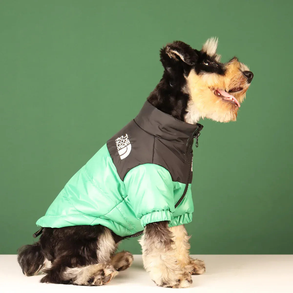 Reflective Winter Dog Jacket | Windproof Warm Coat for French Bulldogs, Chihuahuas & Medium Dogs | Waterproof Pet Outfits