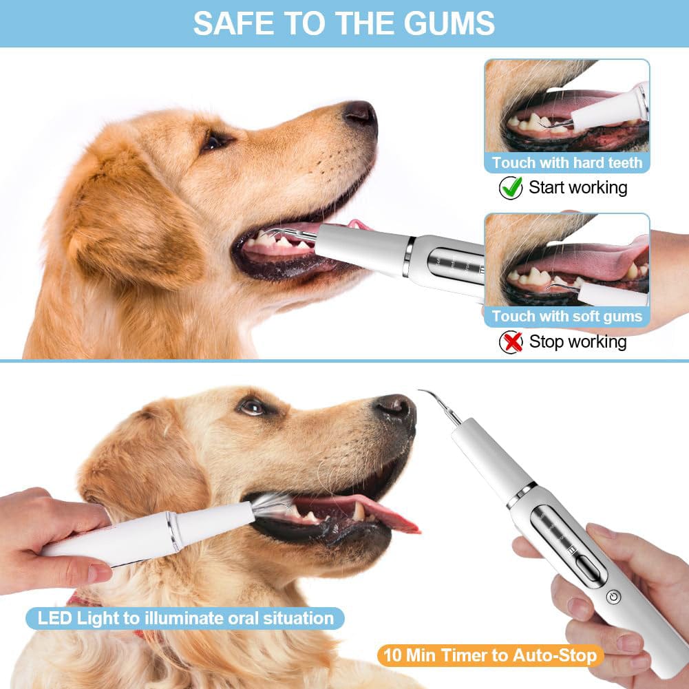 Sonic Electric Pet Toothbrush & Dental Scaler | Dog & Cat Plaque Remover | Professional Pet Oral Care Kit
