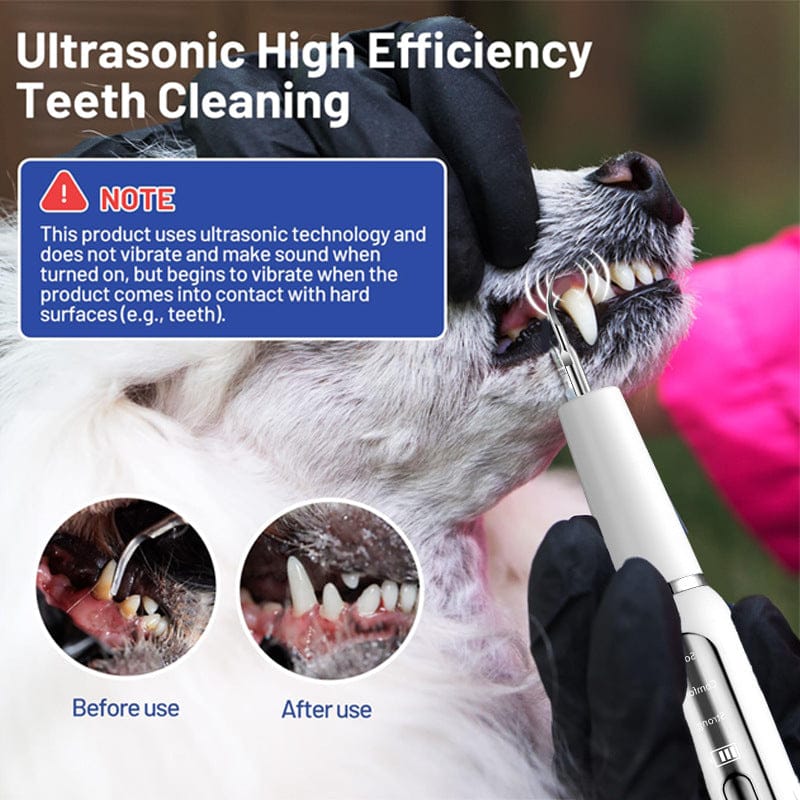 Sonic Electric Pet Toothbrush & Dental Scaler | Dog & Cat Plaque Remover | Professional Pet Oral Care Kit