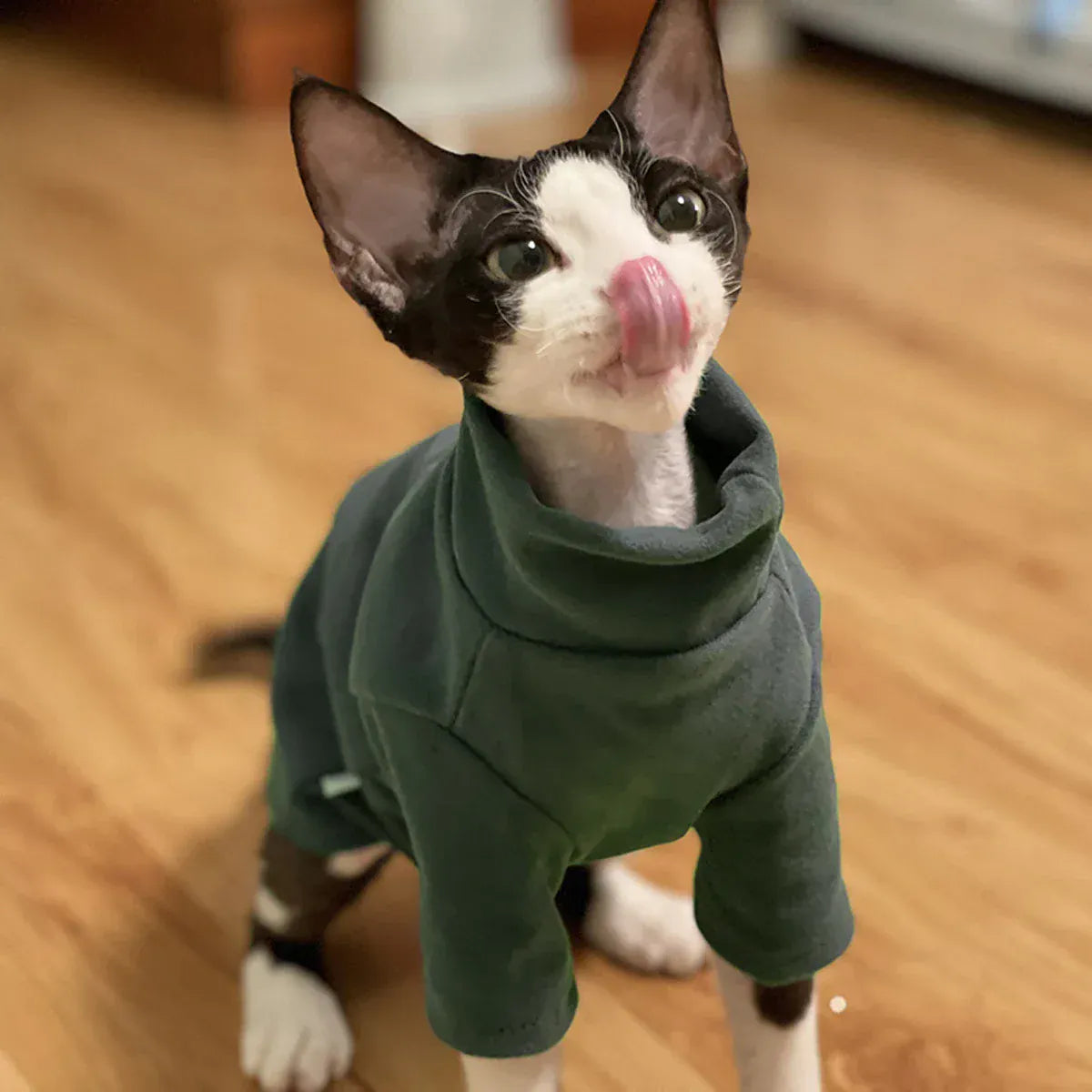 Sphynx Cat Clothes - Soft Cotton Fall & Winter Outfit | Hairless Cat Clothing for Cornish & Devon Cats | Cozy Kitten Costume for Small Dogs