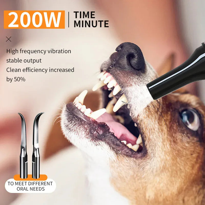 Ultrasonic Electric Dog Toothbrush | Professional Pet Plaque & Tartar Remover | Teeth Whitening & Dental Care
