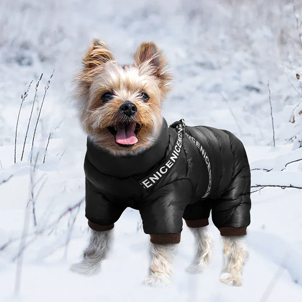 Waterproof Winter Dog Jumpsuit - Super Warm Full-Body Coat for French Bulldogs & Small Breeds