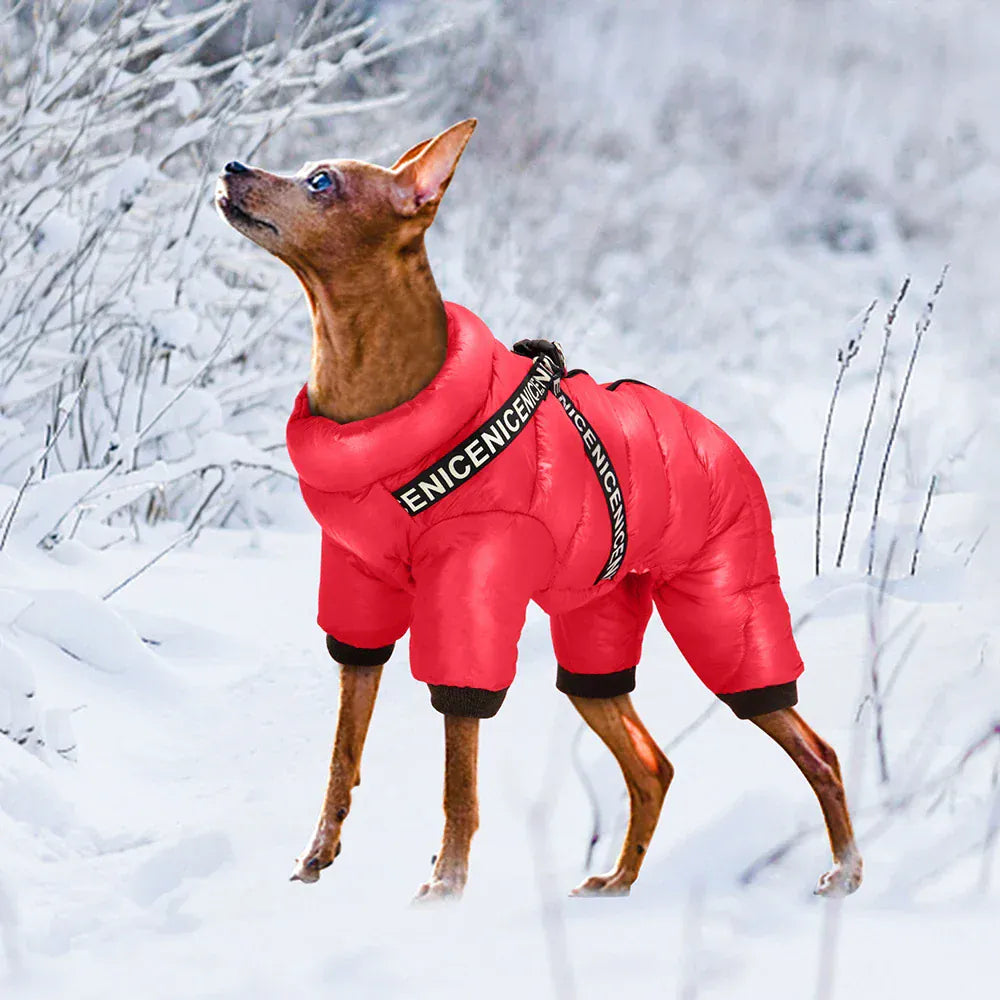 Waterproof Winter Dog Jumpsuit - Super Warm Full-Body Coat for French Bulldogs & Small Breeds