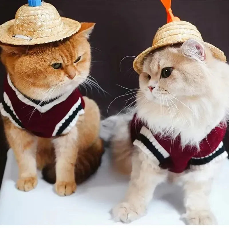 Winter Dog Sweater | College Style V-neck Knitwear for Small Dogs & Puppies – Cozy Puppy Vest & Kitty Jacket