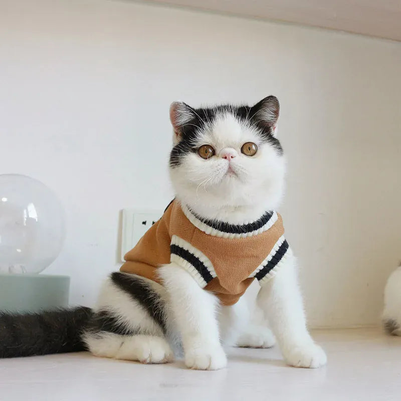 Winter Pet Sweater Pullover | Cozy Dog & Cat Vest, Puppy Jacket & Kitty Costume