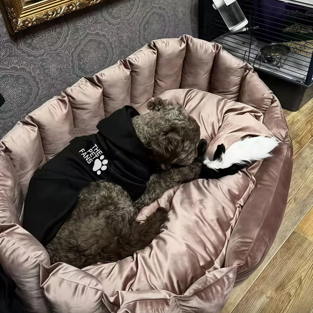 Winter Sports Dog Hoodie | Outdoor Warm Coat for Golden Retriever, Labrador & Large Dogs | Fashionable Autumn/Winter Pet Clothes